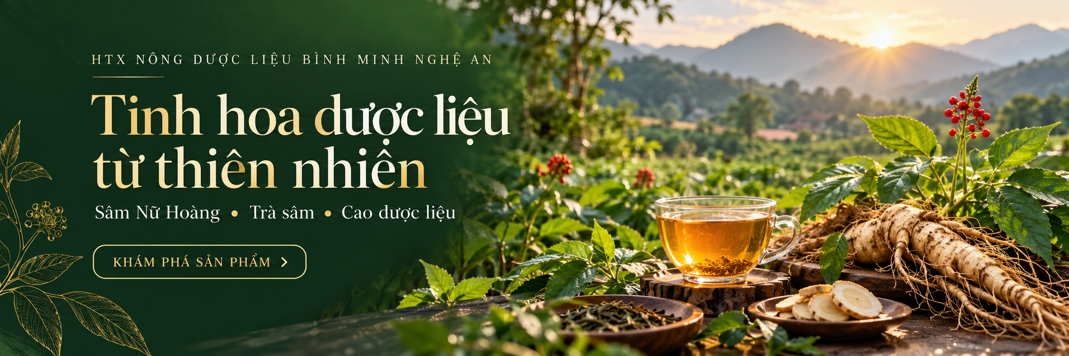 HTX Nông Dược Liệu Bình Minh - Dược liệu thiên nhiên Nghệ An